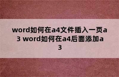 word如何在a4文件插入一页a3 word如何在a4后面添加a3